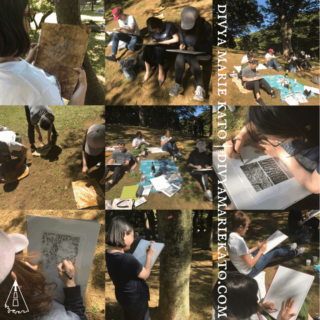 Drawing on Nature Recap