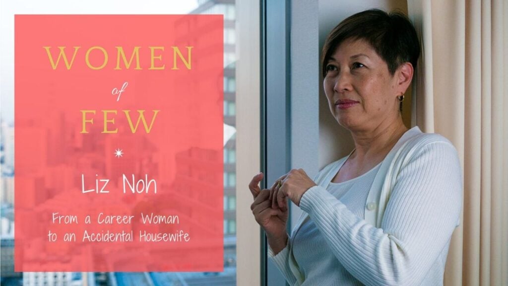 The Struggles of an Accidental Housewife